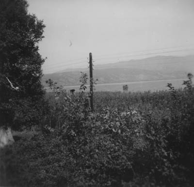 eika image